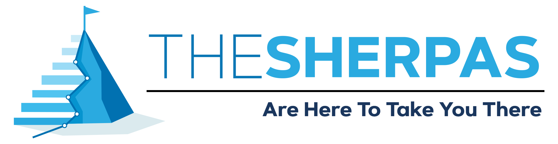 The Sherpas: Expert Business Consultants for Your Success